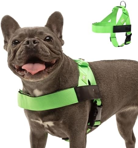 Dog Friendly Co. Dog Harness for Small Dogs by DogFriendly