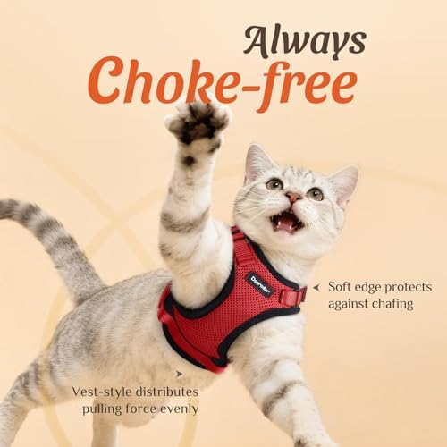 Dooradar Cat Harness and Leash Set, Adjustable and Escape Proof - Image 2
