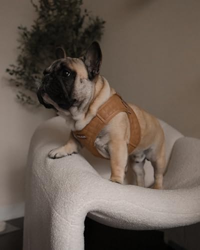 Step in Dog Harness, Lightweight Breathable Mesh Soft Padded Pet Vest, Vegan - Image 4