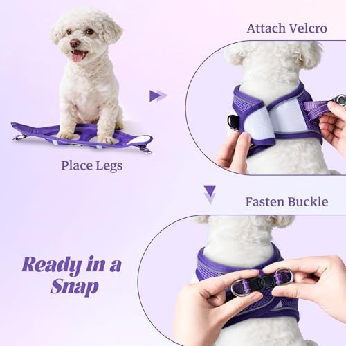 No Pull Dog Puppy Harness and Leash Set Reflective Mesh Vest X-Small - Image 4