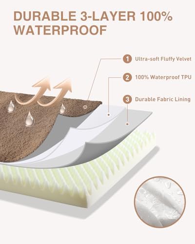 KSIIA Orthopedic Dog Bed for Small Dogs - Image 5
