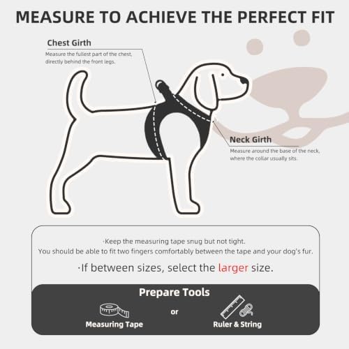 PUPTECK Dog Harness, Collar and Leash Set No Pull - Image 2