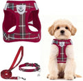 PUPTECK Dog Harness, Collar and Leash Set No Pull by PUPTECK