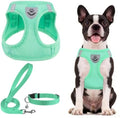 PUPTECK Dog Harness, Collar and Leash Set No Pull by PUPTECK