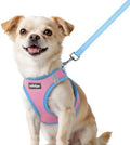 rabbitgoo Dog Harness Small Sized and Leash Set, Step in Soft Vest by rabbitgoo
