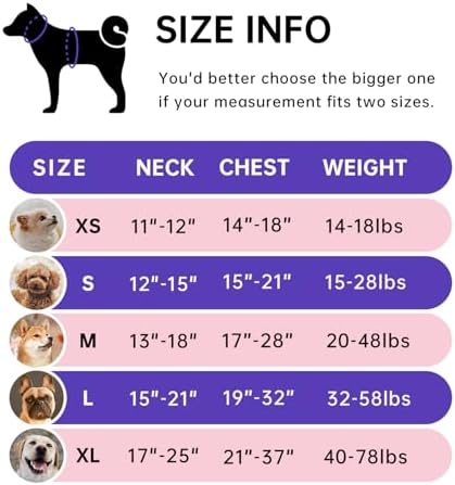 IVY&LANE No Pull Dog Harness for Small Dogs, Reflective Dog Vest Harness - Image 2