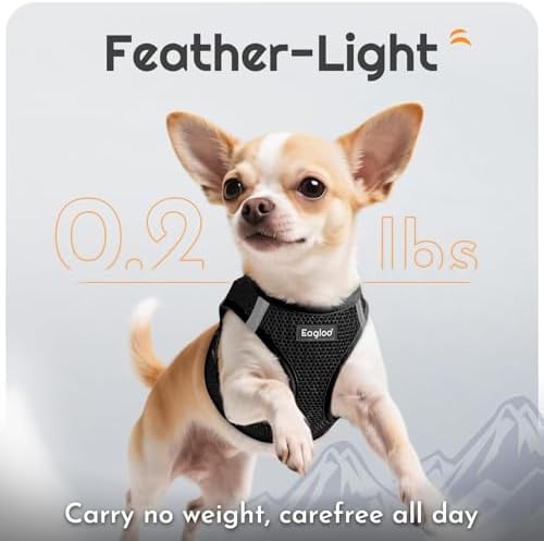 Eagloo Small Dog Harness and Leash Set, Step in Extra Small Puppy Pet Vest - Image 5