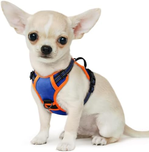 Eagloo Dog Harness for Small Dogs, No Pull Pet Vest by GoExplorewithEagloo