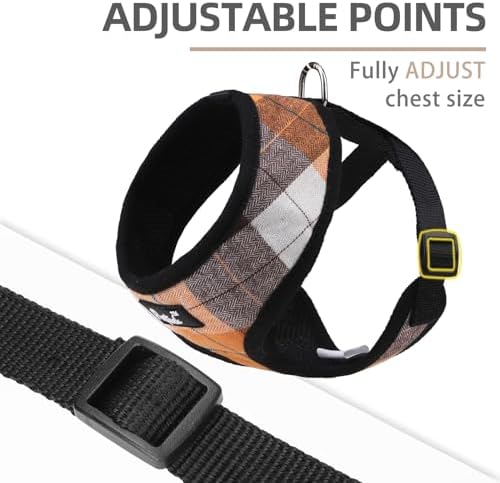 PUPTECK Small Dog Harness and Leash Set No Pull - Image 2