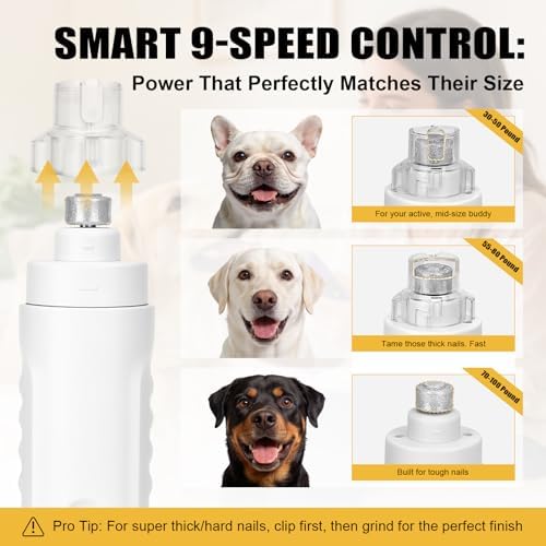 Quiet Dog Nail Grinder, Safe and Low-Stress - Image 4