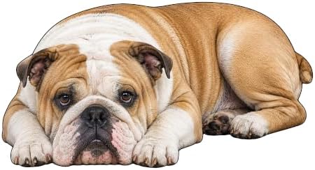 3D Realistic Dog Shaped Bath Mat & Floor Rug by MOFABIA