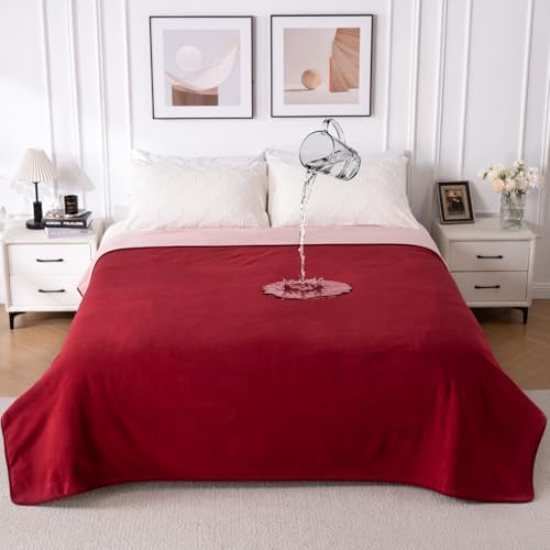 QiyI Reversible Waterproof Blanket by QIYI