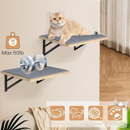 Burlywood Cat Furniture Indoor Set of 2: Wood Shelves - Image 4
