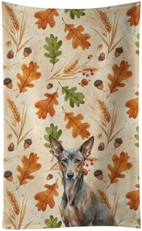 Caroline's Treasures Xoloitzcuintli Dogs Kitchen Towel 15x25 in by CarolinesTreasures