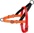 Didog No Pull Dog Harness for Small Dogs, Soft Padded Handle by Didog