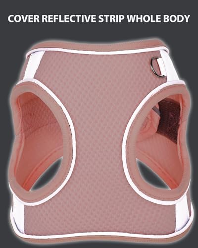 Dog Harness & Leash Set - Image 4