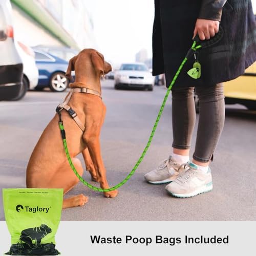 Taglory Rope Dog Leash for Small Medium Dogs, 4 FT Padded Handle - Image 2