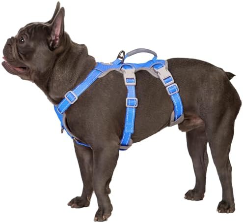Huntboo Escape Proof Harness by Huntboo