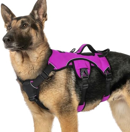 rabbitgoo Escape Proof Dog Harness by rabbitgoo