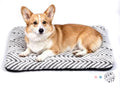 Mora Pets Dog Crate Pad Washable Puppy Dog Bed by MoraPets