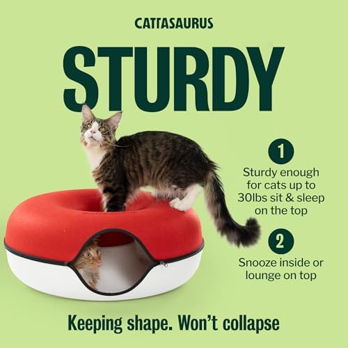 Cattasaurus Peekaboo Cat Cave, Extra Spacious - Image 5