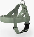 Dog Friendly Co. Dog Harness for Large Dogs, Adjustable by DogFriendly