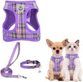 PUPTECK Dog Harness, Collar and Leash Set No Pull by PUPTECK