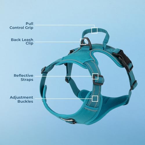 Voyager Dual Attachment No Pull Harness - Image 3