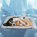 Cooling Mat - Thicken Pad for Small Dog & Cat, Ultra-Comfortable & Machine by Unknown