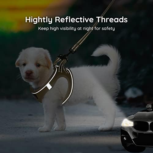 BELLA & PAL Step in Puppy Harness and Leash Set - Image 5