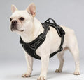 Black Adjustable Reflective No-Pull Dog Harness by Unknown