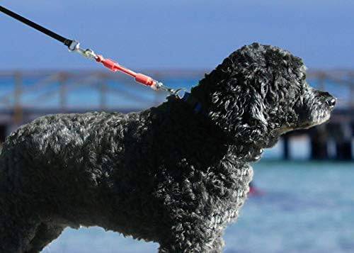BUNGEE DOG LEASH EXTENSION – Patented Shock Absorber Attachment Protects You - Image 5