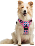 rabbitgoo Dog Harness, No Pull for Large Dogs by rabbitgoo