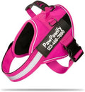 Custom No Pull Dog Harness by PawPawify