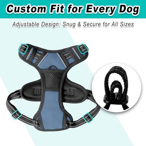 BARKBAY Dog Harness for Small Sized Dog No Pull 2 Leash Clips Dog Vest - Image 6