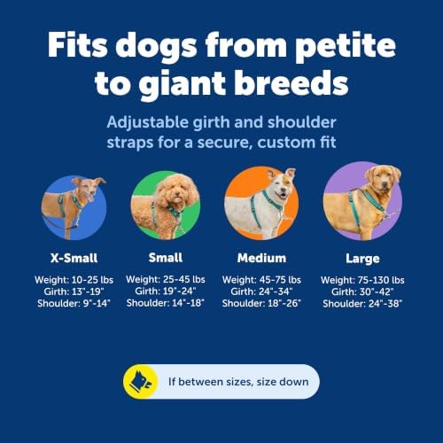 PetSafe Easy Walk 3 in 1 No Pull Dog Harness - Image 6
