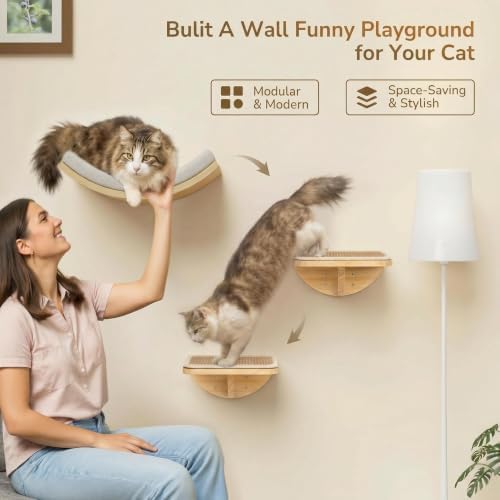 Cat Wall Shelf with Curved Hammock Bed, Wall Mounted Cat Perch - Image 2