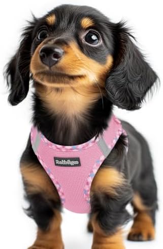 rabbitgoo Step-in Small Dog Harness, Puppy Vest by rabbitgoo