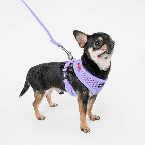 Puppia Soft Dog Harness No Choke Over-The-Head Triple Layered Breathable Mesh - Image 4