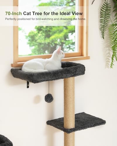 FUKUMARU Cat Wall Shelves Set, 70 inch Wall Mounted Tree - Image 5
