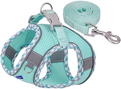 Step in Mesh Dog Harness and Leash Set Breathable Air Mesh Harness - Image 2