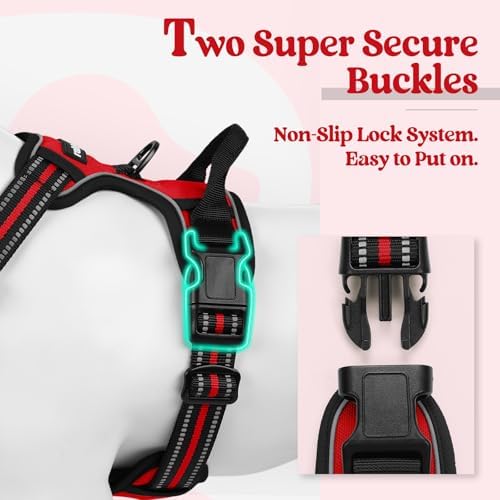 rabbitgoo Dog Harness, No Pull for Small Dogs - Image 3