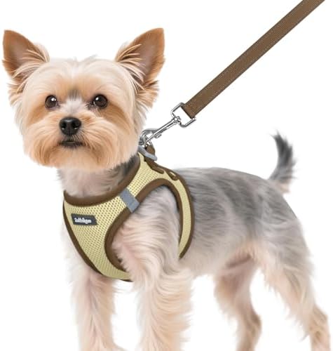 rabbitgoo Dog Harness Small Sized and Leash Set, Step in Soft Vest by rabbitgoo