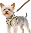 rabbitgoo Dog Harness Small Sized and Leash Set, Step in Soft Vest by rabbitgoo
