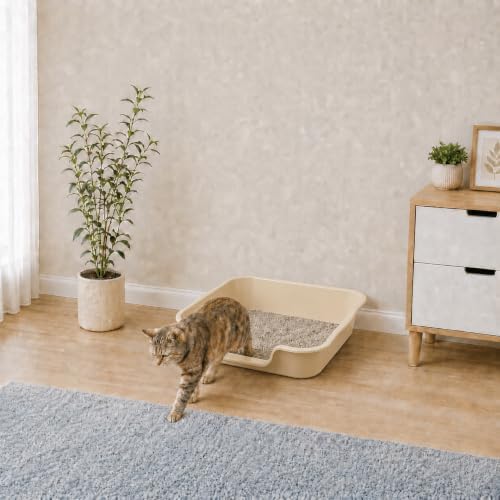 Extra Large Low Entry ABS Cat Litter Box, 1 Pack - Image 3