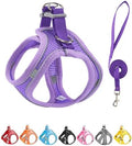 XS Purple Soft Mesh Dog Harness and Leash Set, No Escape Puppy Harnesses by Unknown