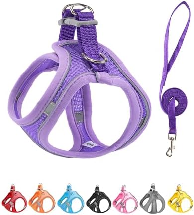 M Purple Soft Mesh Dog Harness and Leash Set, No Escape Puppy Harnesses by Unknown