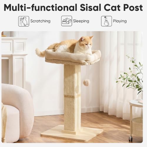 FUKUMARU Retro-Style Cat Scratching Post - Image 2