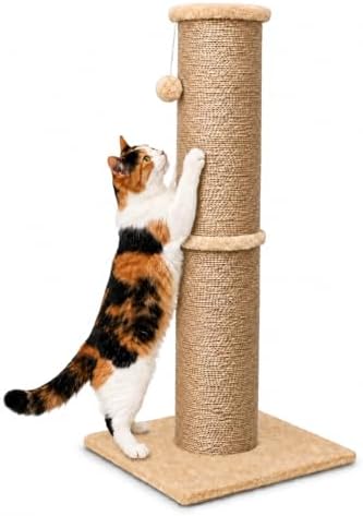PAWSCRAT 32-Inch Tall Cat Scratching Post, 5.5-Inch Diameter by PAWSCRAT
