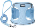 Dog Harness with Leash Set, Step-in Adjustable Puppy Pet Vest, Sky Blue XXS by BOOMIBOO